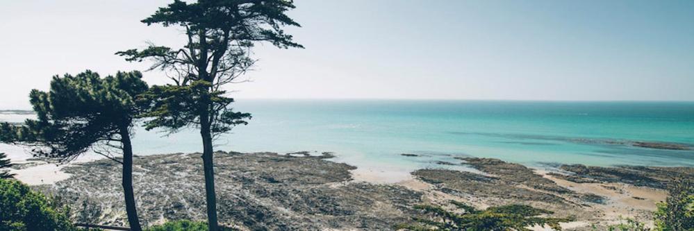 Les Iles Vue Sur Mer 아공-쿠탕빌 외부 사진
